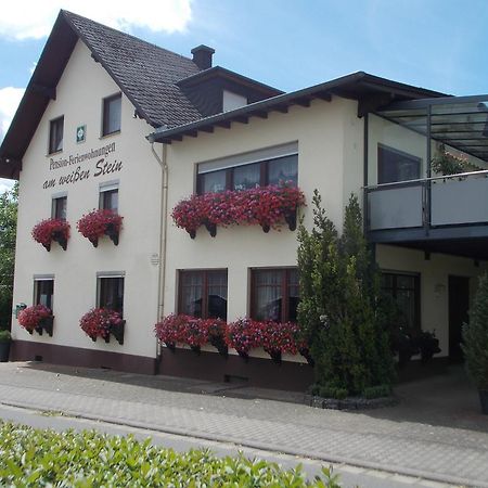 Gaestehaus "Am Weissen Stein" Cochem Exteriér fotografie