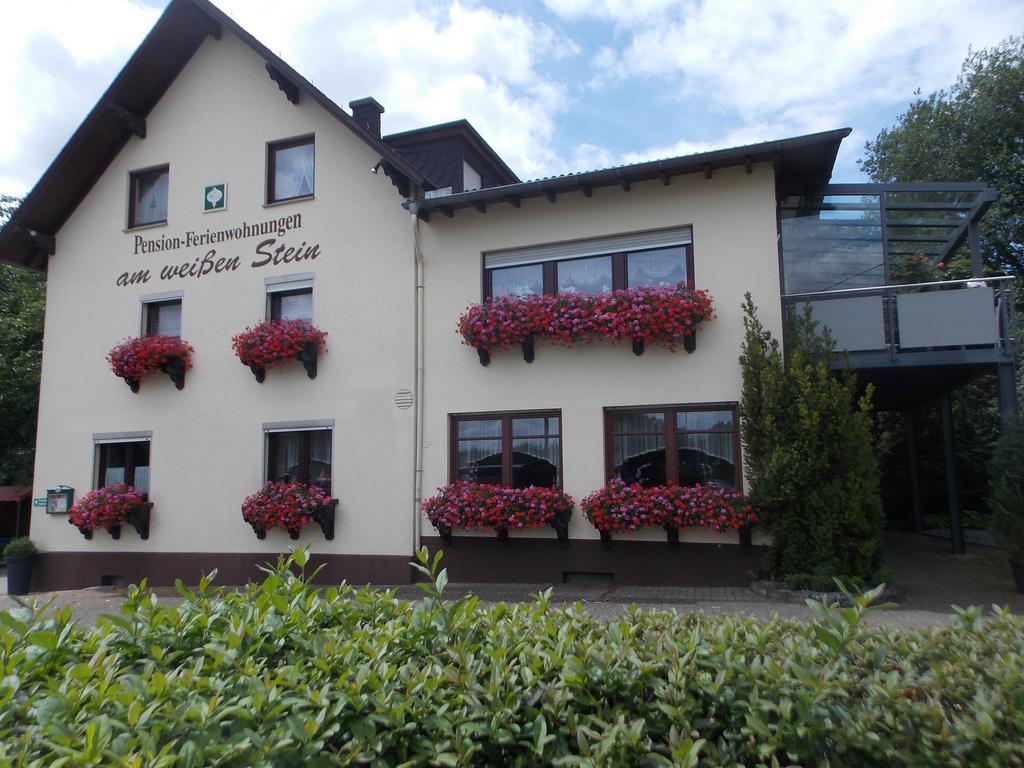Gaestehaus "Am Weissen Stein" Cochem Exteriér fotografie